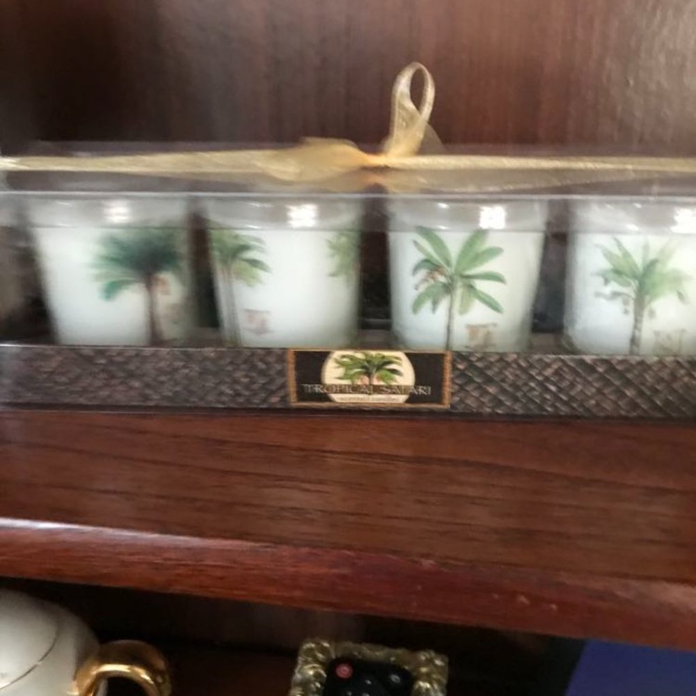 Tropical Safari scented candles